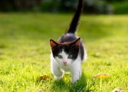 开云体育官方网站-年度焦点之战之夜，罗德里戈关键战不手软