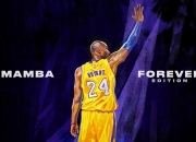 开云下载-开拓者对阵广东队，德罗赞里程碑之战，跨越篮球文化的碰撞