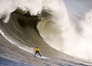 开云官方app入口-以下是为您创作的标题及文章