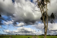 开云体育平台APP-戈贝尔的冰火两重天，当关键先生成为独行侠刺穿爵士的利刃