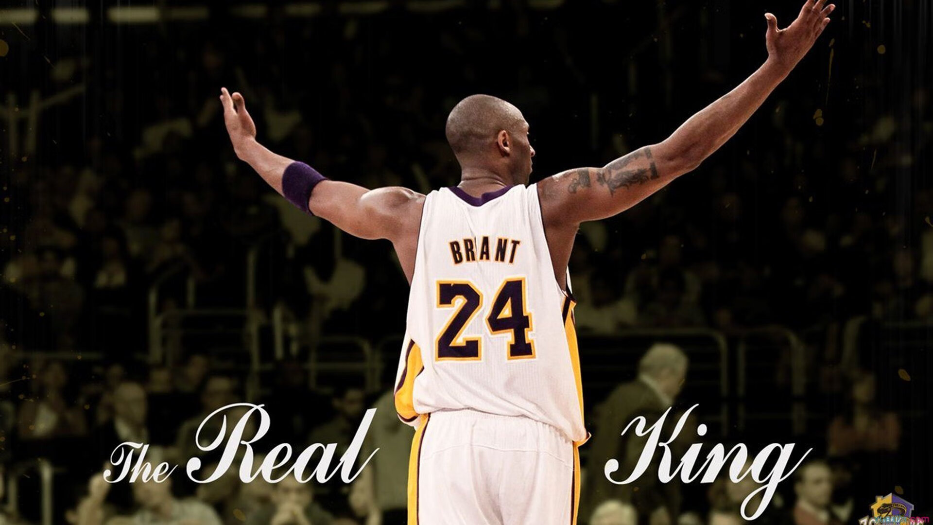 世界排名争夺战之夜，约基奇状态火热，书写传奇新章